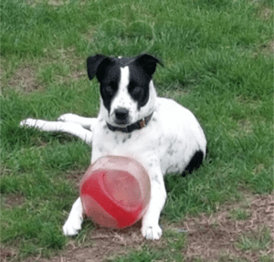 Isla playing ball pre-valley fever