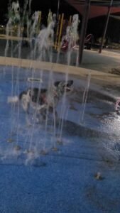 Rex splash pad