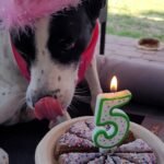 Isla birthday candle