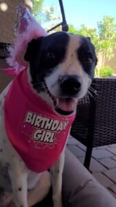 Birthday girl Isla happy