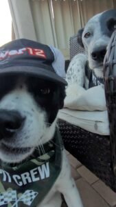 Isla and Rex Indy 500