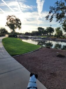 Isla Creature Feature Week