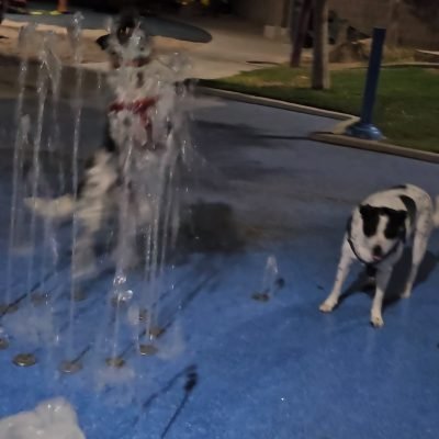 Rex and Isla Splash Pad